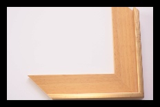 201 / 50205 (E)